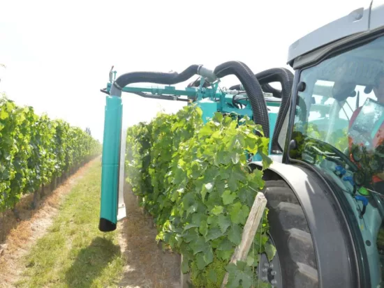 un tracteur effectue un traitement dans les vignes