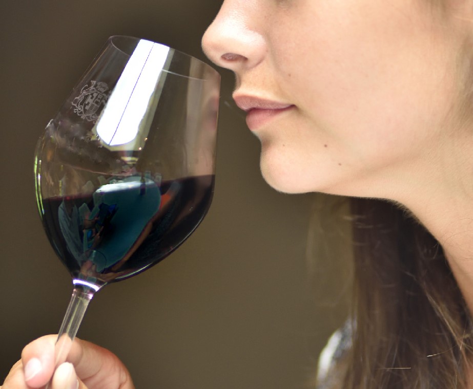 Que sait-on aujourd’hui des composants du goût et de l’arôme des vins ?