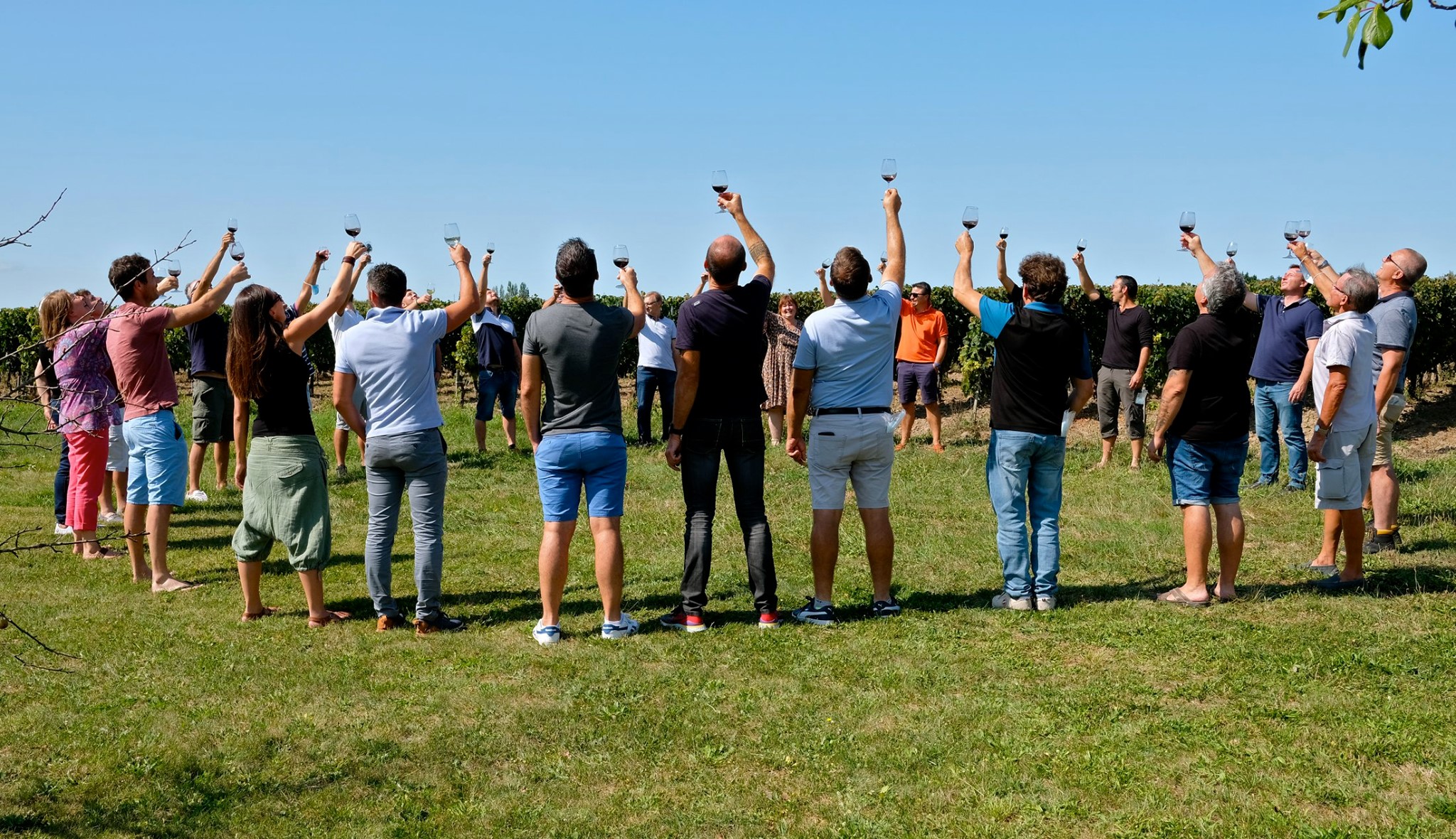 Lire la suite à propos de l’article Vignobles Gabriel & Co : un collectif engagé dans une démarche éthique et solidaire