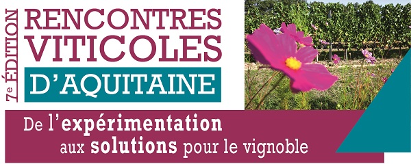 Lire la suite à propos de l’article De l’expérimentation aux solutions pour le vignoble