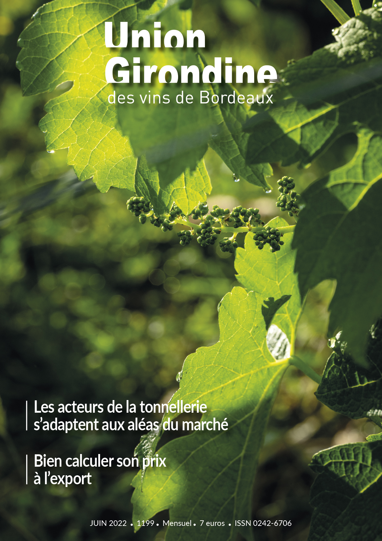 Avec « Bordeaux Fête le Vin », retour à la convivialité