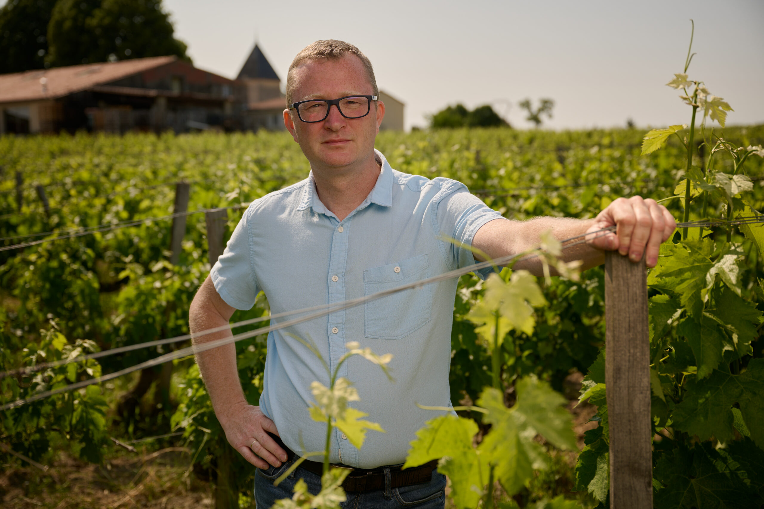 Lire la suite à propos de l’article Pierre-Henri Cosyns : « Notre vignoble perd un milliard d’euros de valeur nette par an ! »