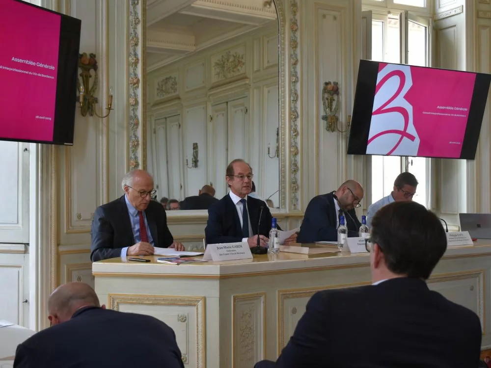Allan Sichel lors de l'assemblée générale du CIVB, conseil interprofessionnel des vins de Bordeaux