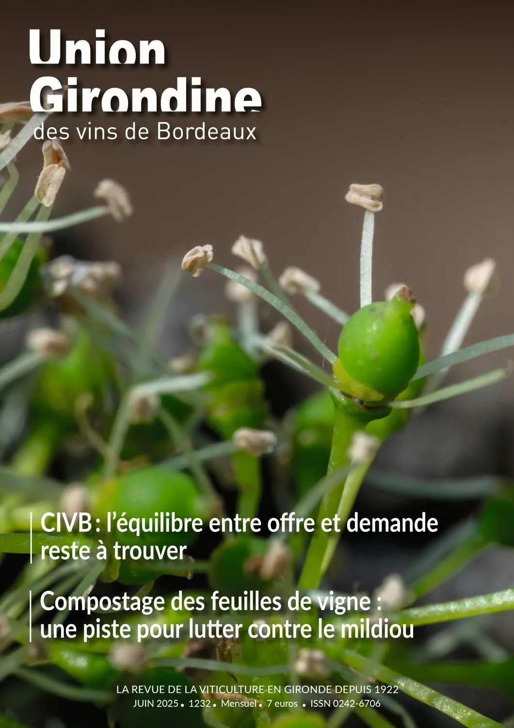 une du magazine union girondine des vins de Bordeaux, représentant la floraison de la vigne