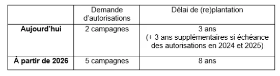 tableau précisant les modalités des autorisations de replantation de la vigne