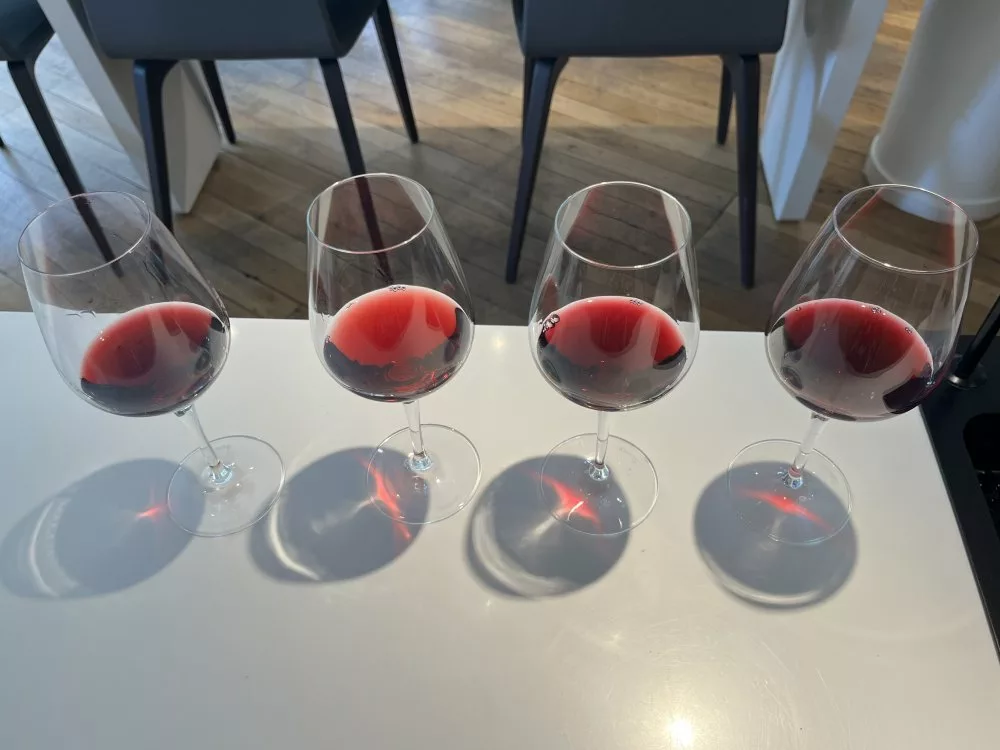 quatre verres de vins rouges servis frais lors d'une dégustation
