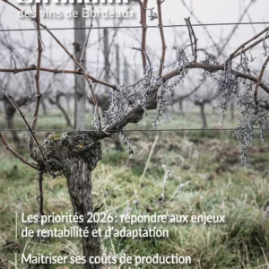 couverture du magazine union girondine des vins de bordeaux représentant un pied de vigne dans une ambiance hivernale