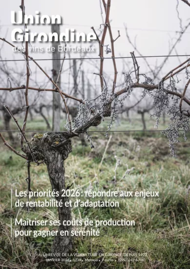 couverture du magazine union girondine des vins de bordeaux représentant un pied de vigne dans une ambiance hivernale