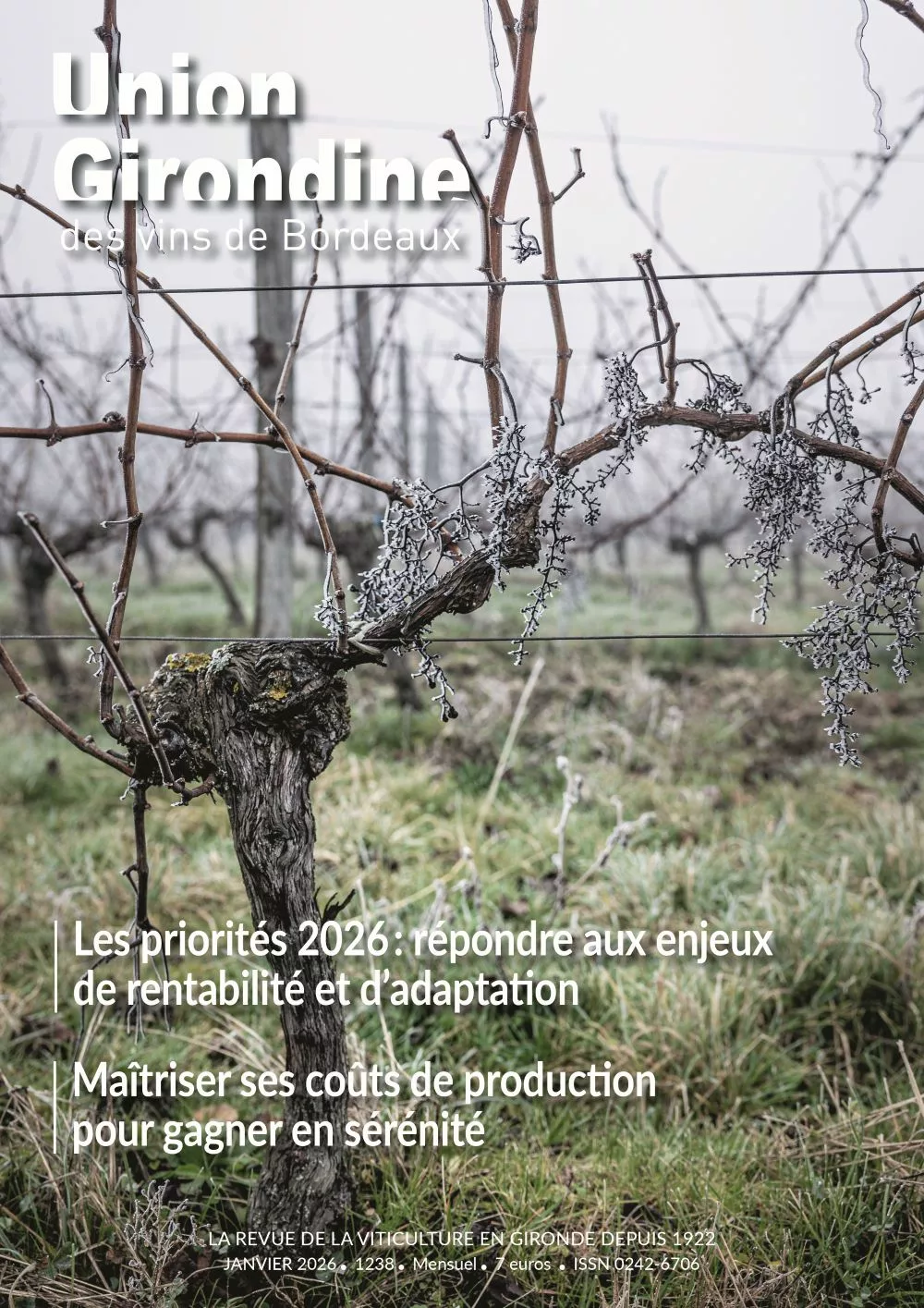couverture du magazine union girondine des vins de bordeaux représentant un pied de vigne dans une ambiance hivernale