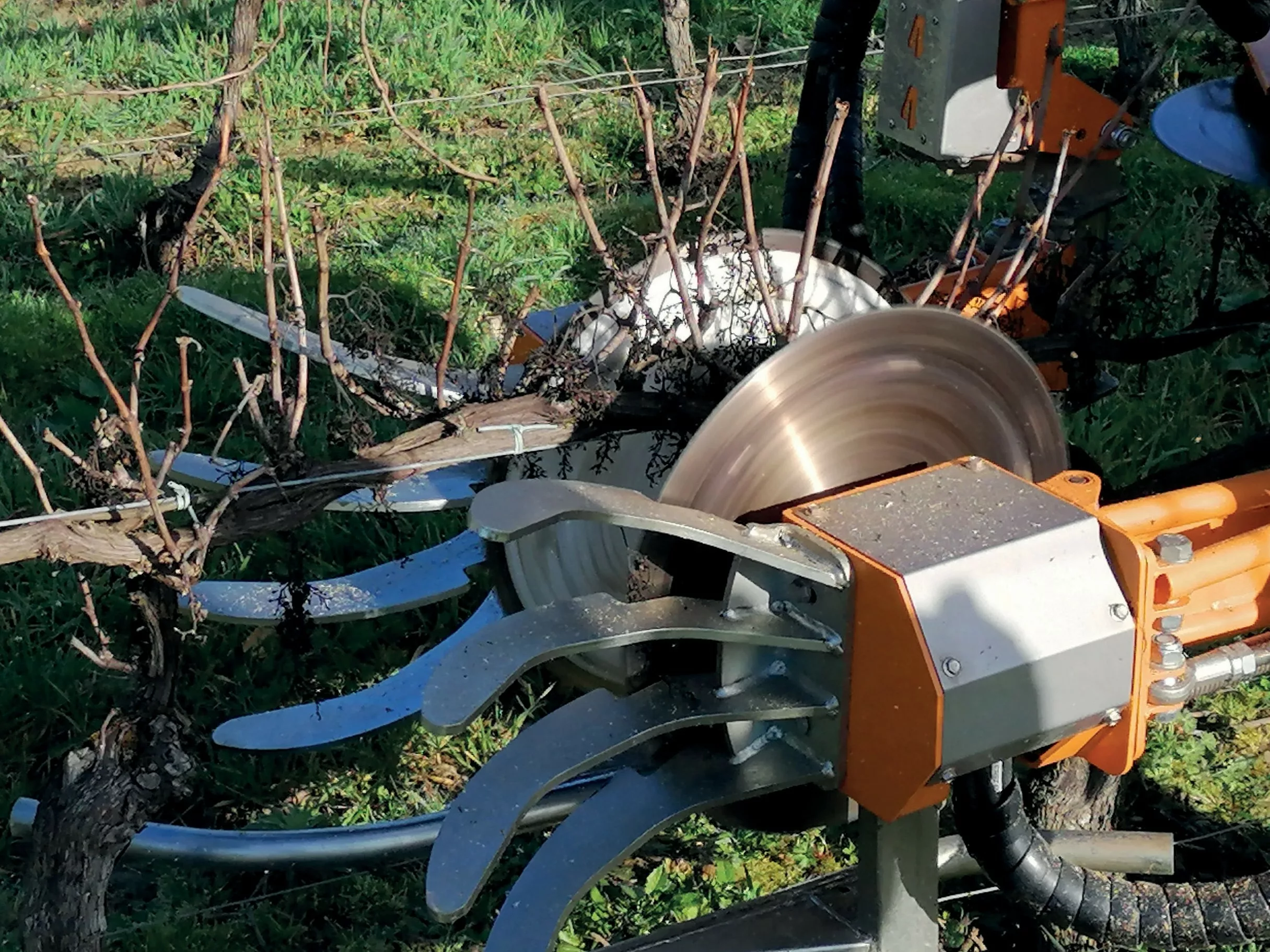 machine dédiée à la taille mécanique des vignes