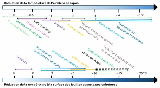 Figure 3 - Réduction de la température de la canopée, des feuilles et des baies grâce à différentes stratégies d’atténuationdans les vignobles (lignes pleines : valeurs mesurées dans les articles référencés ; lignes pointillées : valeurs théoriques). Les sources utilisées pour cette figure sont disponibles sur demande auprès des auteurs.