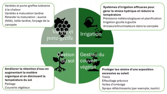 Figure 2 - Stratégies d’atténuation des vagues de chaleur.