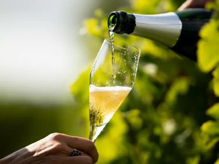 un crémant de bordeaux servi dans une flûte