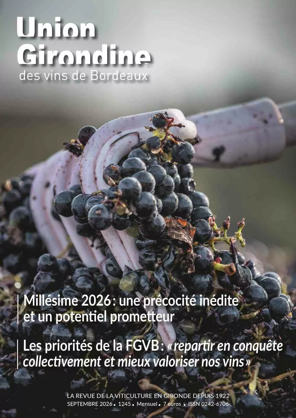 couverture du magazine de l'union girondine des vins de bordeaux réprésentant une grille dans des baies de raisins rouges pendant les vendanges
